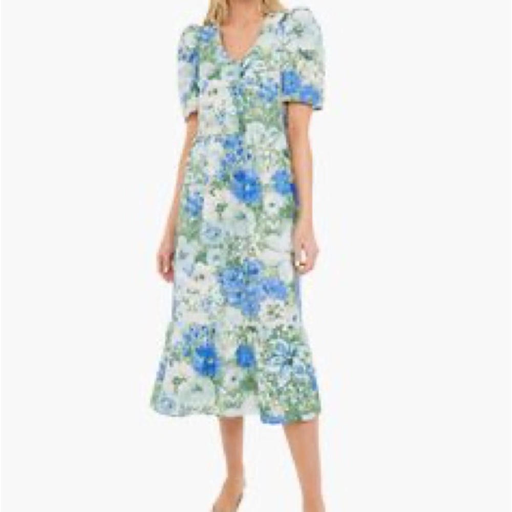 Tuckernuck Blue and White Floral Midi Dress
